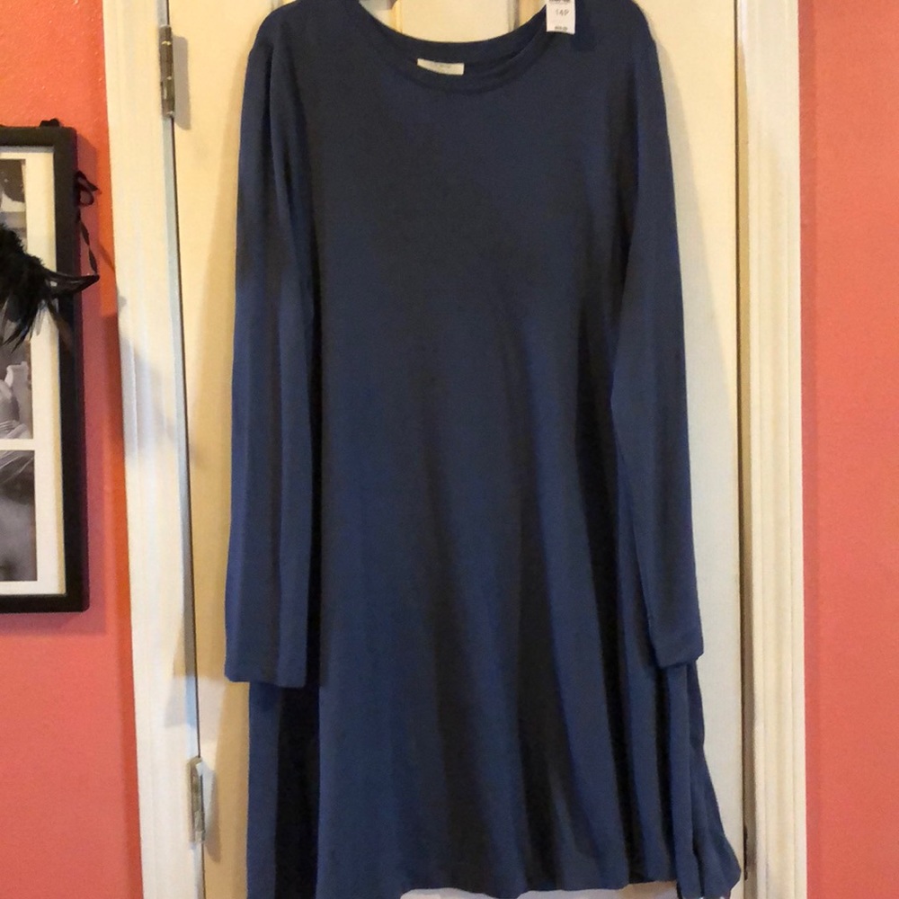 Comfy warm Loft sweatshirt dress